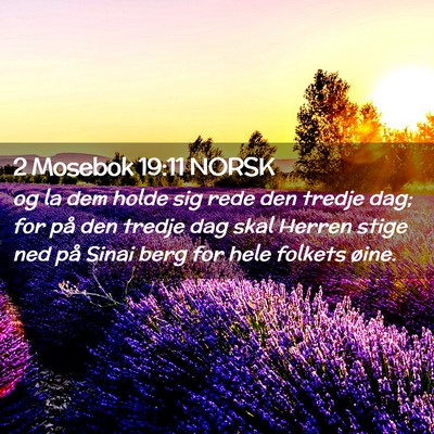 Picture 02 - 2 Mosebok 19:11 NORSK - og la dem holde sig rede den tredje dag; for på - Bible Verse Picture