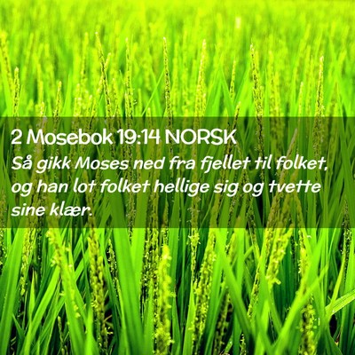 Picture 02 - 2 Mosebok 19:14 NORSK - Så gikk Moses ned fra fjellet til folket, og han - Bible Verse Picture