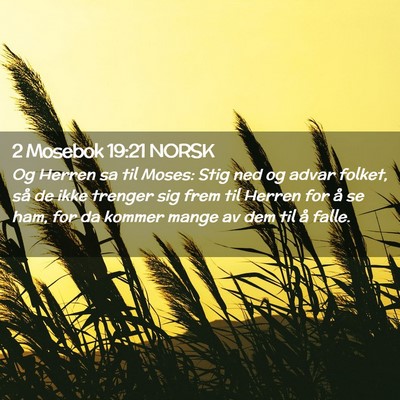 Picture 02 - 2 Mosebok 19:21 NORSK - Og Herren sa til Moses: Stig ned og advar folket, - Bible Verse Picture