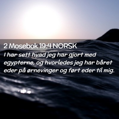 Picture 02 - 2 Mosebok 19:4 NORSK - I har sett hvad jeg har gjort med egypterne, og - Bible Verse Picture