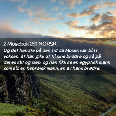 Picture 02 - 2 Mosebok 2:11 NORSK - Og det hendte på den tid da Moses var blitt - Bible Verse Picture