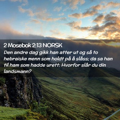 Picture 02 - 2 Mosebok 2:13 NORSK - Den andre dag gikk han atter ut og så to - Bible Verse Picture