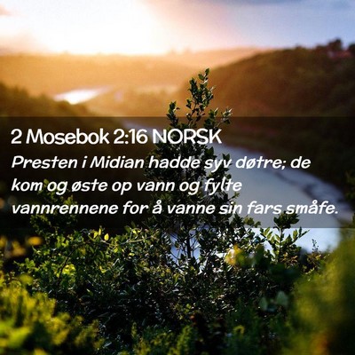 Picture 02 - 2 Mosebok 2:16 NORSK - Presten i Midian hadde syv døtre; de kom og - Bible Verse Picture