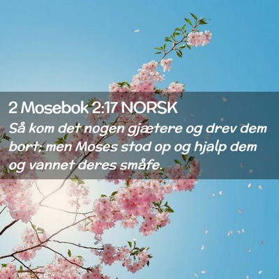 Picture 02 - 2 Mosebok 2:17 NORSK - Så kom det nogen gjætere og drev dem bort; men - Bible Verse Picture