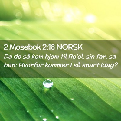 Picture 02 - 2 Mosebok 2:18 NORSK - Da de så kom hjem til Re'el, sin far, sa han: - Bible Verse Picture
