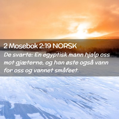 Picture 02 - 2 Mosebok 2:19 NORSK - De svarte: En egyptisk mann hjalp oss mot - Bible Verse Picture