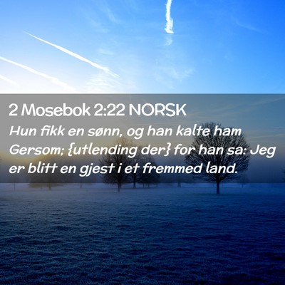 Picture 02 - 2 Mosebok 2:22 NORSK - Hun fikk en sønn, og han kalte ham Gersom; - Bible Verse Picture