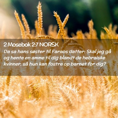 Picture 02 - 2 Mosebok 2:7 NORSK - Da sa hans søster til Faraos datter: Skal jeg - Bible Verse Picture