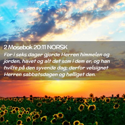Picture 02 - 2 Mosebok 20:11 NORSK - For i seks dager gjorde Herren himmelen og - Bible Verse Picture