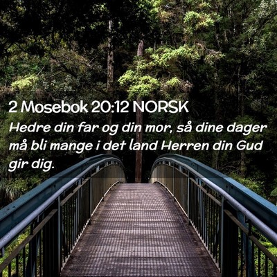 Picture 02 - 2 Mosebok 20:12 NORSK - Hedre din far og din mor, så dine dager må bli - Bible Verse Picture