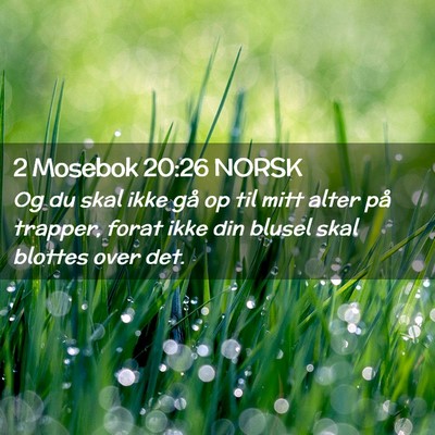 Picture 02 - 2 Mosebok 20:26 NORSK - Og du skal ikke gå op til mitt alter på - Bible Verse Picture