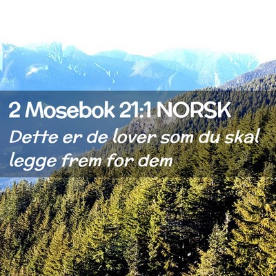 Picture 02 - 2 Mosebok 21:1 NORSK - Dette er de lover som du skal legge frem for - Bible Verse Picture