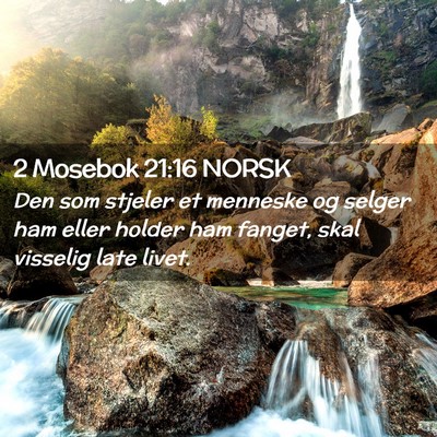 Picture 02 - 2 Mosebok 21:16 NORSK - Den som stjeler et menneske og selger ham eller - Bible Verse Picture