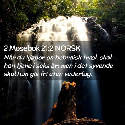 Picture 02 - 2 Mosebok 21:2 NORSK - Når du kjøper en hebraisk træl, skal han tjene - Bible Verse Picture