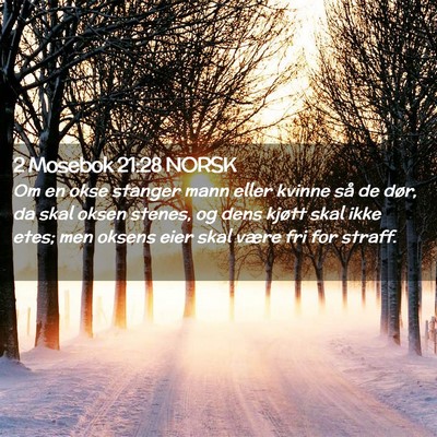 Picture 02 - 2 Mosebok 21:28 NORSK - Om en okse stanger mann eller kvinne så de dør, - Bible Verse Picture