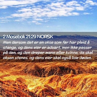 Picture 02 - 2 Mosebok 21:29 NORSK - Men dersom det er en okse som før har pleid å - Bible Verse Picture