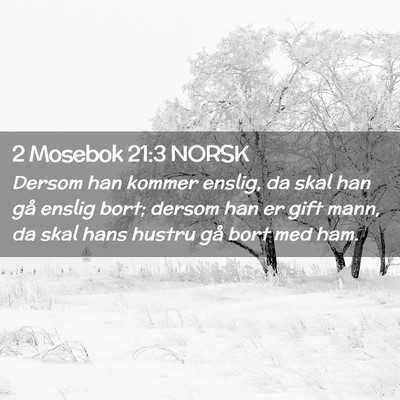 Picture 02 - 2 Mosebok 21:3 NORSK - Dersom han kommer enslig, da skal han gå enslig - Bible Verse Picture