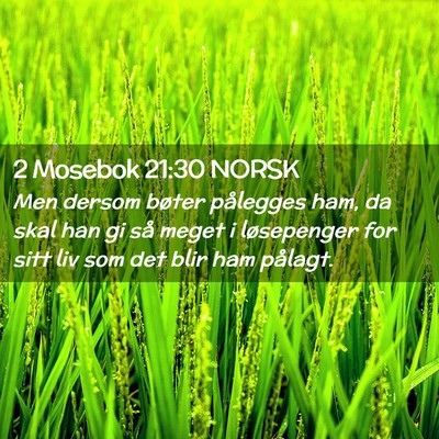 Picture 02 - 2 Mosebok 21:30 NORSK - Men dersom bøter pålegges ham, da skal han gi - Bible Verse Picture