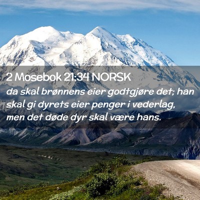 Picture 02 - 2 Mosebok 21:34 NORSK - da skal brønnens eier godtgjøre det; han skal - Bible Verse Picture