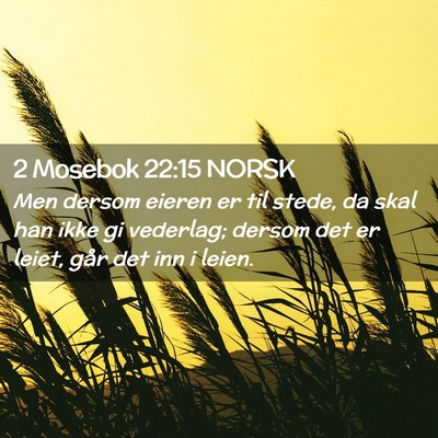 Picture 02 - 2 Mosebok 22:15 NORSK - Men dersom eieren er til stede, da skal han ikke - Bible Verse Picture