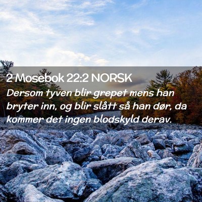 Picture 02 - 2 Mosebok 22:2 NORSK - Dersom tyven blir grepet mens han bryter inn, og - Bible Verse Picture