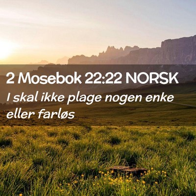 Picture 02 - 2 Mosebok 22:22 NORSK - I skal ikke plage nogen enke eller - Bible Verse Picture
