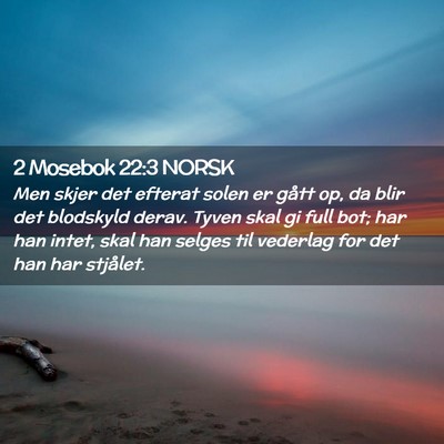 Picture 02 - 2 Mosebok 22:3 NORSK - Men skjer det efterat solen er gått op, da blir - Bible Verse Picture