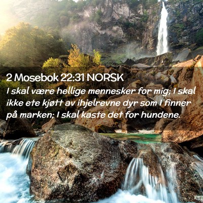 Picture 02 - 2 Mosebok 22:31 NORSK - I skal være hellige mennesker for mig; I skal - Bible Verse Picture