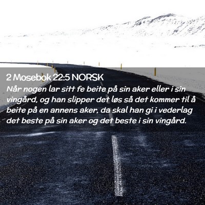 Picture 02 - 2 Mosebok 22:5 NORSK - Når nogen lar sitt fe beite på sin aker eller i - Bible Verse Picture