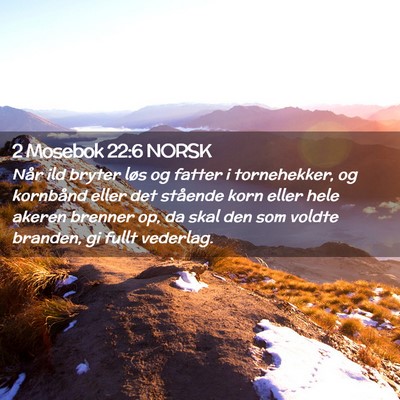 Picture 02 - 2 Mosebok 22:6 NORSK - Når ild bryter løs og fatter i tornehekker, og - Bible Verse Picture