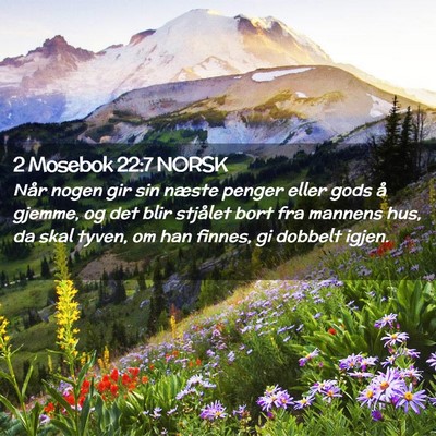 Picture 02 - 2 Mosebok 22:7 NORSK - Når nogen gir sin næste penger eller gods å - Bible Verse Picture