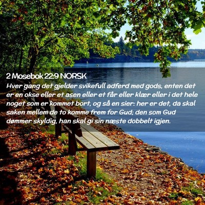 Picture 02 - 2 Mosebok 22:9 NORSK - Hver gang det gjelder svikefull adferd med gods, - Bible Verse Picture