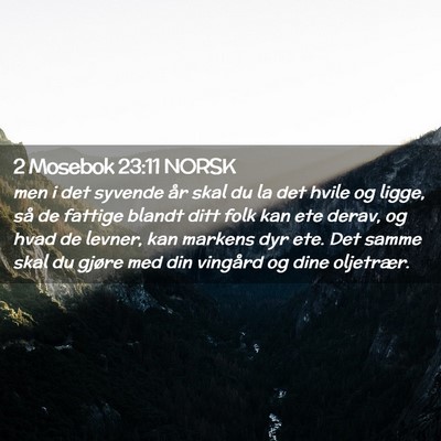 Picture 02 - 2 Mosebok 23:11 NORSK - men i det syvende år skal du la det hvile og - Bible Verse Picture