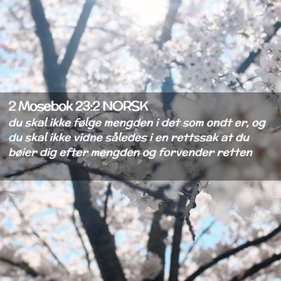 Picture 02 - 2 Mosebok 23:2 NORSK - du skal ikke følge mengden i det som ondt er, og - Bible Verse Picture