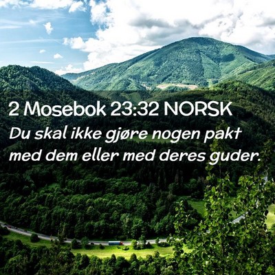 Picture 02 - 2 Mosebok 23:32 NORSK - Du skal ikke gjøre nogen pakt med dem eller med - Bible Verse Picture