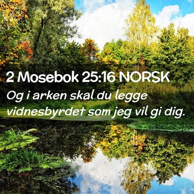 Picture 02 - 2 Mosebok 25:16 NORSK - Og i arken skal du legge vidnesbyrdet som jeg vil - Bible Verse Picture