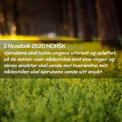 Picture 02 - 2 Mosebok 25:20 NORSK - Kjerubene skal holde vingene utbredt og - Bible Verse Picture