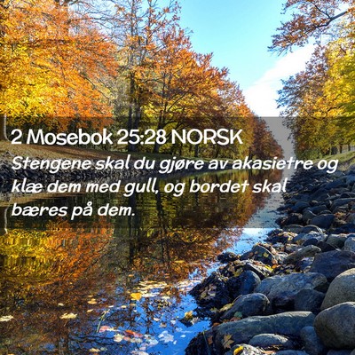 Picture 02 - 2 Mosebok 25:28 NORSK - Stengene skal du gjøre av akasietre og klæ dem - Bible Verse Picture