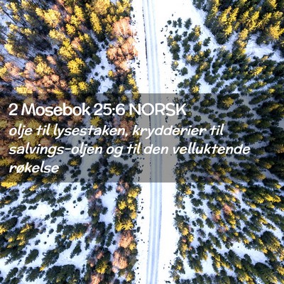 Picture 02 - 2 Mosebok 25:6 NORSK - olje til lysestaken, krydderier til - Bible Verse Picture