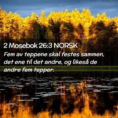 Picture 02 - 2 Mosebok 26:3 NORSK - Fem av teppene skal festes sammen, det ene til - Bible Verse Picture
