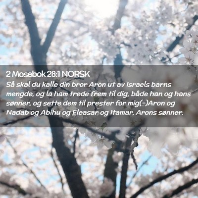 Picture 02 - 2 Mosebok 28:1 NORSK - Så skal du kalle din bror Aron ut av Israels - Bible Verse Picture