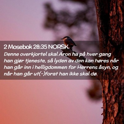 Picture 02 - 2 Mosebok 28:35 NORSK - Denne overkjortel skal Aron ha på hver gang han - Bible Verse Picture