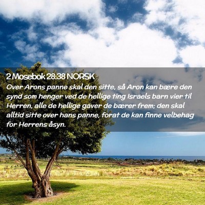 Picture 02 - 2 Mosebok 28:38 NORSK - Over Arons panne skal den sitte, så Aron kan - Bible Verse Picture