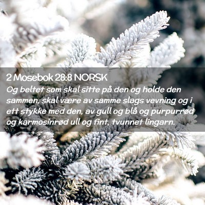 Picture 02 - 2 Mosebok 28:8 NORSK - Og beltet som skal sitte på den og holde den - Bible Verse Picture