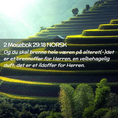 Picture 02 - 2 Mosebok 29:18 NORSK - Og du skal brenne hele væren på alteret(-)det - Bible Verse Picture