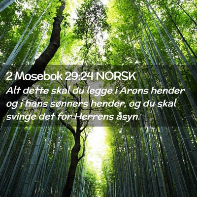 Picture 02 - 2 Mosebok 29:24 NORSK - Alt dette skal du legge i Arons hender og i hans - Bible Verse Picture