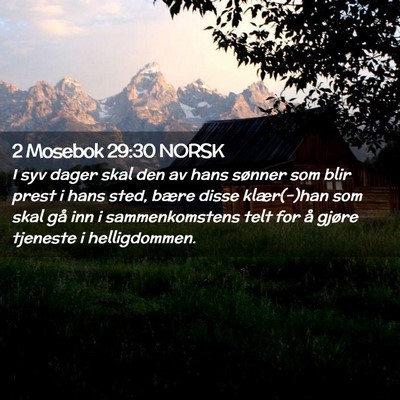 Picture 02 - 2 Mosebok 29:30 NORSK - I syv dager skal den av hans sønner som blir - Bible Verse Picture