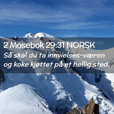 Picture 02 - 2 Mosebok 29:31 NORSK - Så skal du ta innvielses-væren og koke kjøttet - Bible Verse Picture