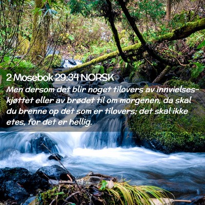 Picture 02 - 2 Mosebok 29:34 NORSK - Men dersom det blir noget tilovers av - Bible Verse Picture