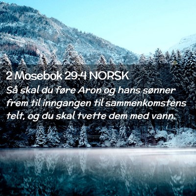 Picture 02 - 2 Mosebok 29:4 NORSK - Så skal du føre Aron og hans sønner frem til - Bible Verse Picture